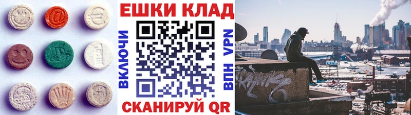 ЭКСТАЗИ диски  продажа наркотиков  Заозёрск 