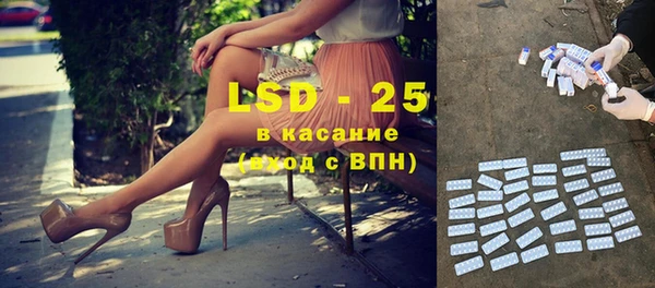 сатива Заводоуковск
