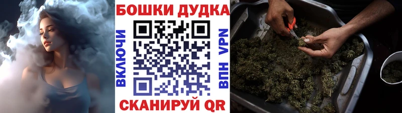 Бошки Шишки планчик  Заозёрск 